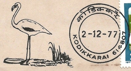 [ppp kodikkarai close[5].jpg]