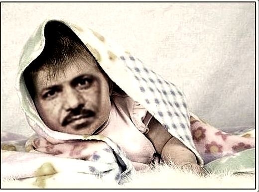 [holihai3.jpg]