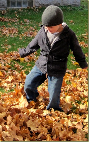 IMG_2742 IMG_2742