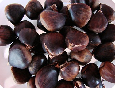 Catanha portuguesa (que
originou a cor marrom) Catanha portuguesa (que originou a cor
marrom)