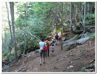 Excursiones para peques: Sendero Botánico y Gorgas de Alba