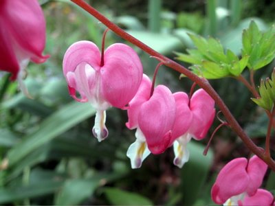 [IMG_2129.jpg]
