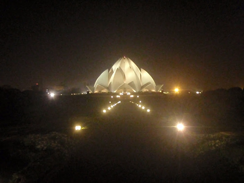 Lotus at night (Safa)