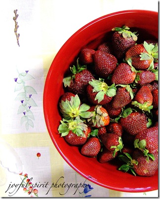 Garden Fresh Strawberries watermark
