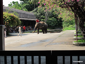 พู่กันเที่ยวสวนสามพราน