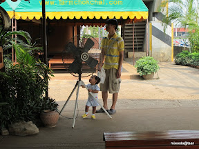 พู่กันเที่ยวฟาร์ม ชคชัย
