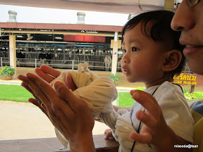 พู่กันเที่ยวฟาร์ม ชคชัย