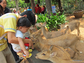 พู่กันเที่ยวฟาร์ม ชคชัย
