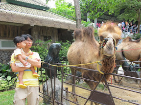 พู่กันเที่ยวเขาดิน