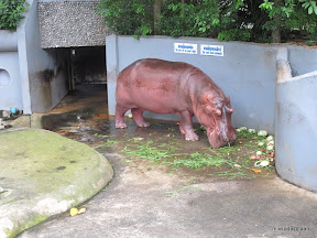 พู่กันเที่ยวเขาดิน