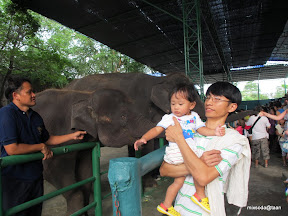 พู่กันเที่ยวศรีราชา
