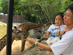 พู่กันเที่ยวบางแสนวันที่ 3 สวนสัตว์เปิดเขาเขียว