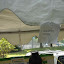 LPN Events - ONE Liberia Unity In Diversity