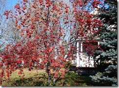 P1040713