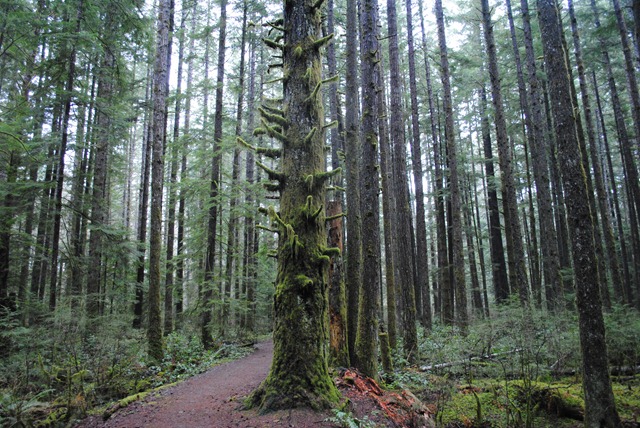 [DSC_0423[3].jpg]