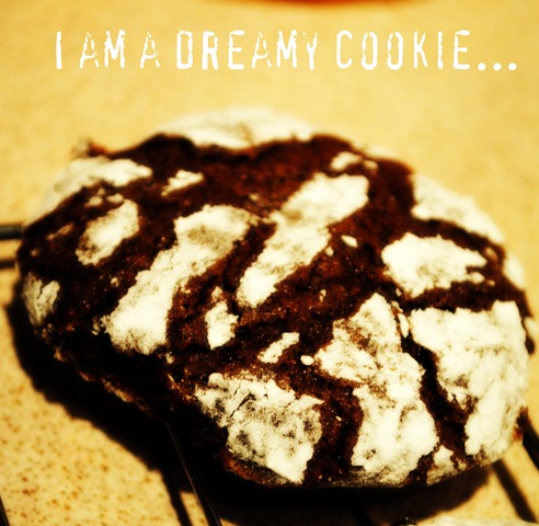 [dreamy cookie[4].jpg]