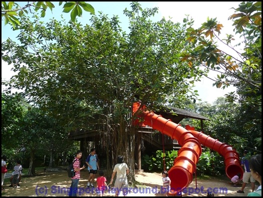 P1010236