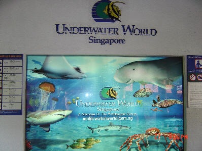 [underwater world[4].jpg]