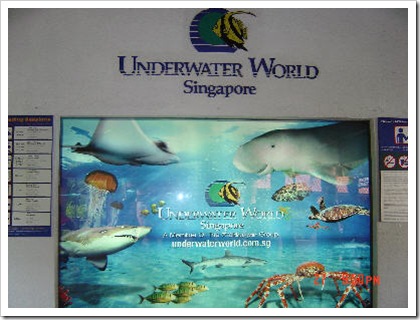 underwater world