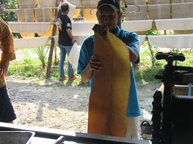 >Siem Reap set for rubber summit  