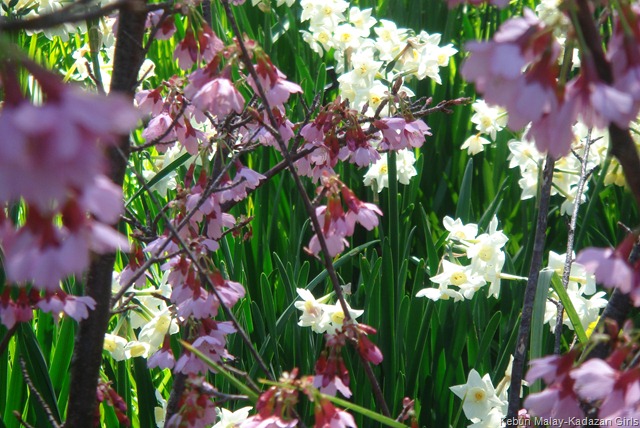 [DSC085149.jpg]