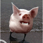 Funny Photoshopping
