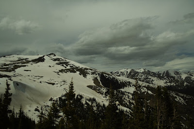 IMG_8395.jpg