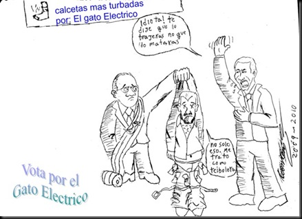 gatoelectrico3