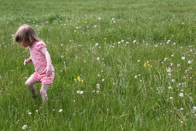[2010_05_17_13_23_34[1].jpg]