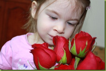 IMG_5599 IMG_5599