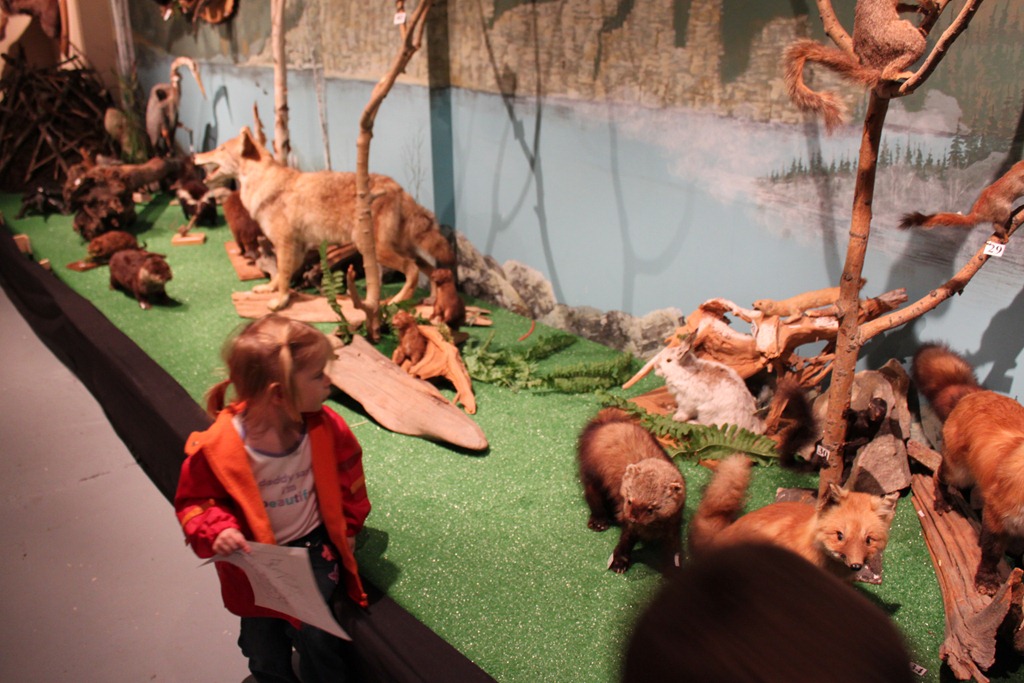 [2010_09_14_10_38_12[4].jpg]
