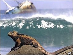 [Jessica and iguana[4].jpg]