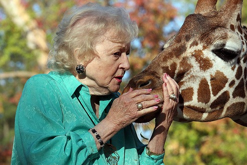 [betty-giraffe-1[5].jpg]
