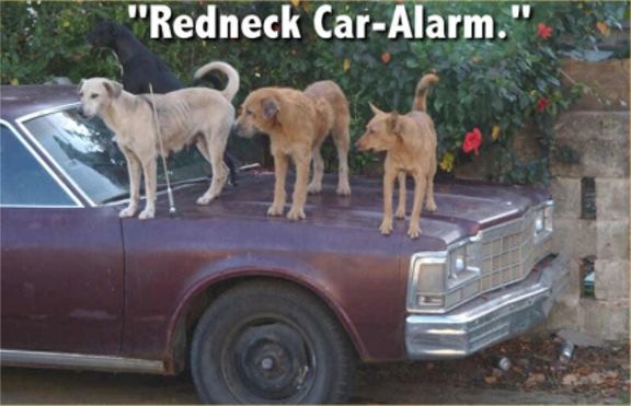 [redneck_car_alarm[3].jpg]
