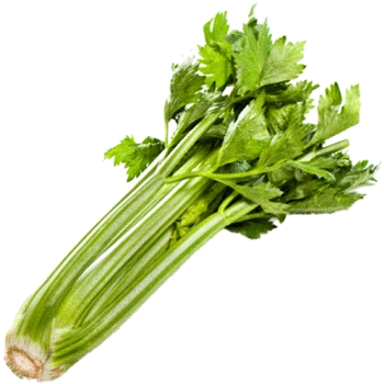 [celery-stalk[4].gif]