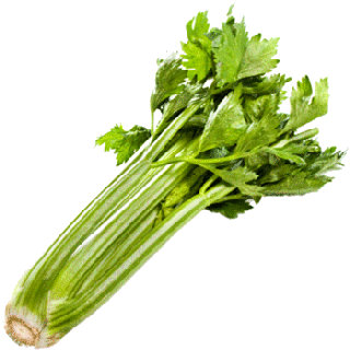 celery-stalk