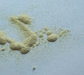 orchid  Seed Powder