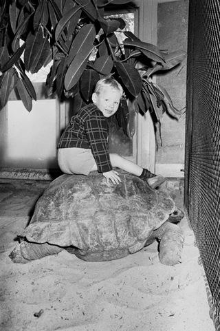 _1966