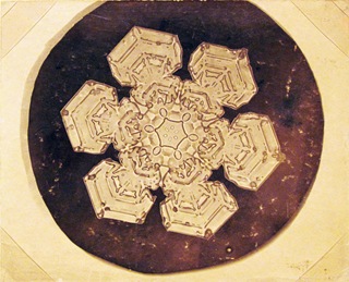 lzk7a
