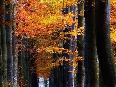 [1287434248658040[5].jpg]