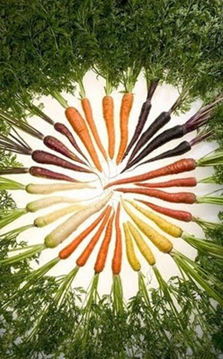carrots