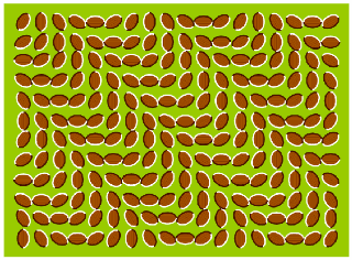 wavy-beans-illusion
