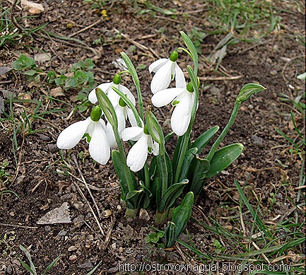 IMG_4180 IMG_4180