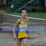 Fase Comarcal Cross Escolar
