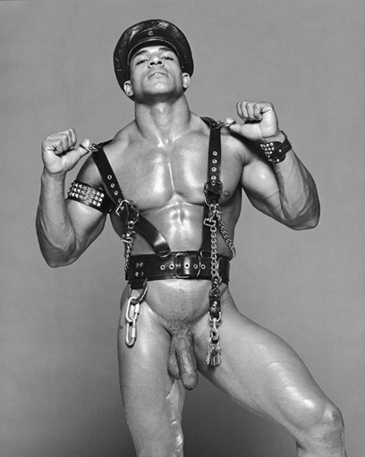 elian_cortez 43 elian_cortez 43