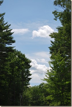 view on the way