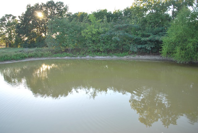[waiting for the fish to bite[3].jpg]