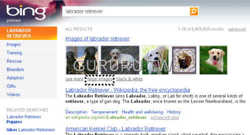 [bing.com-12[7].png]
