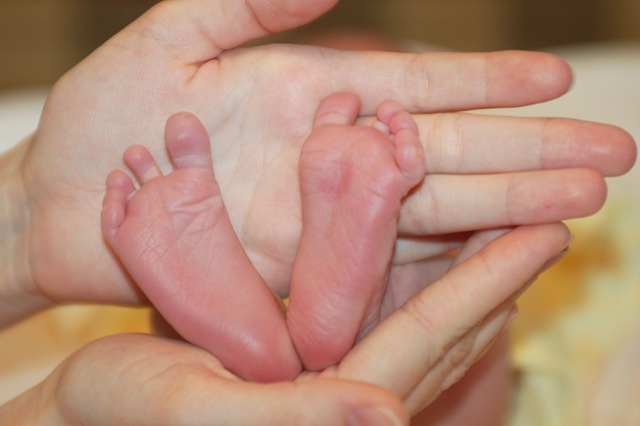 [DSC_3032[6].jpg]