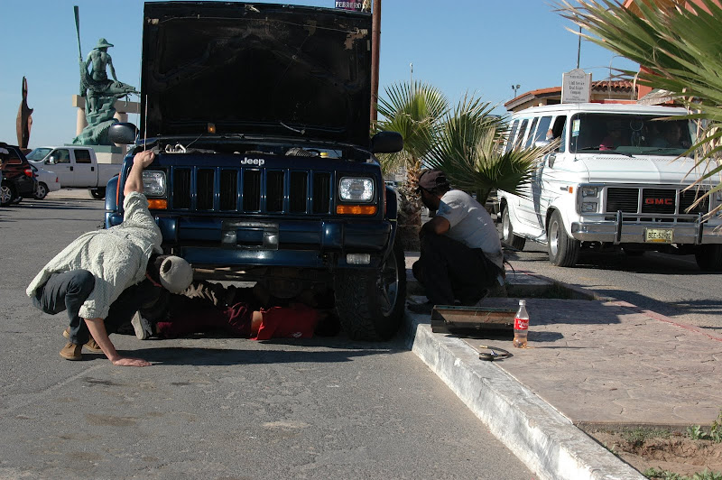 DSC_4772.JPG